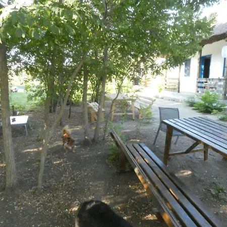 Gradina Aricilor