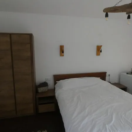 Gradina Aricilor ספנטו גאורגה